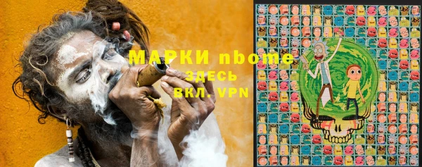 сатива Заволжье