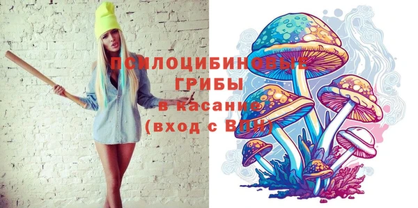дмт Заволжск
