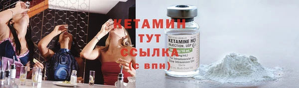 сатива Заволжье