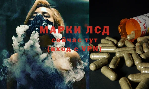 сатива Заволжье