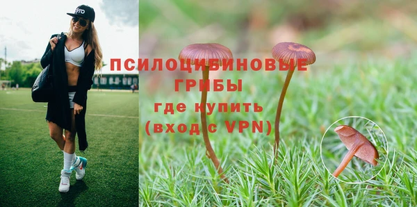 герыч Елабуга