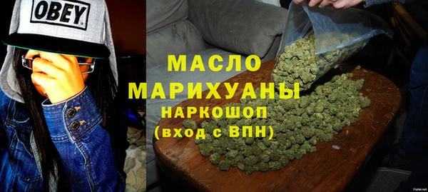 гидра Ельня