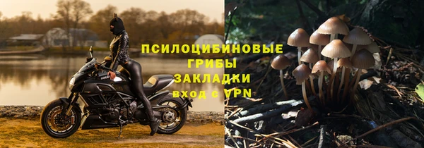 сатива Заволжье